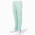Tecnifibre Team Terry Pants Buben - Sage