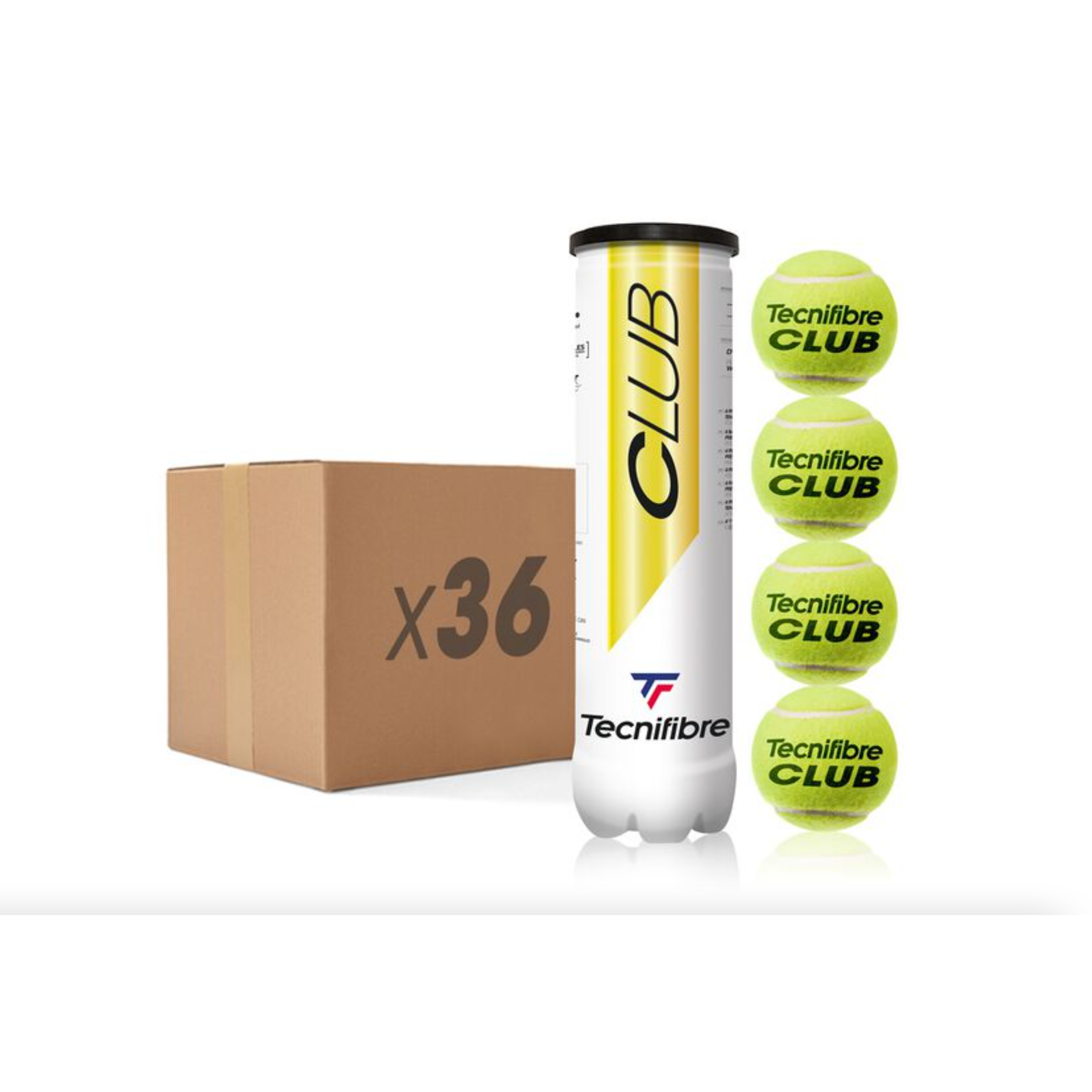 36x 4er-Dosen Tecnifibre Club Bälle im Karton